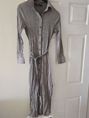 Lavish Crinkle Shirt Dress in Subtle Green